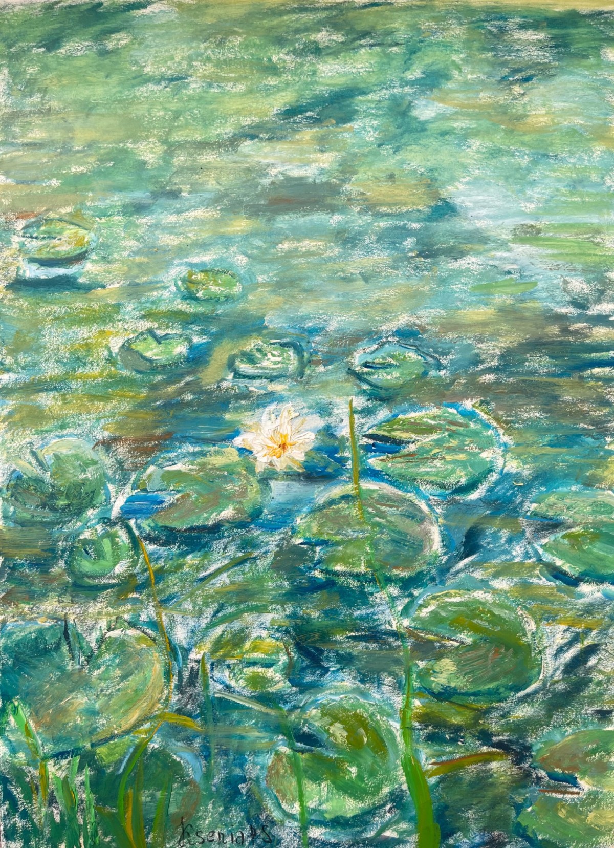 The lonely lotus