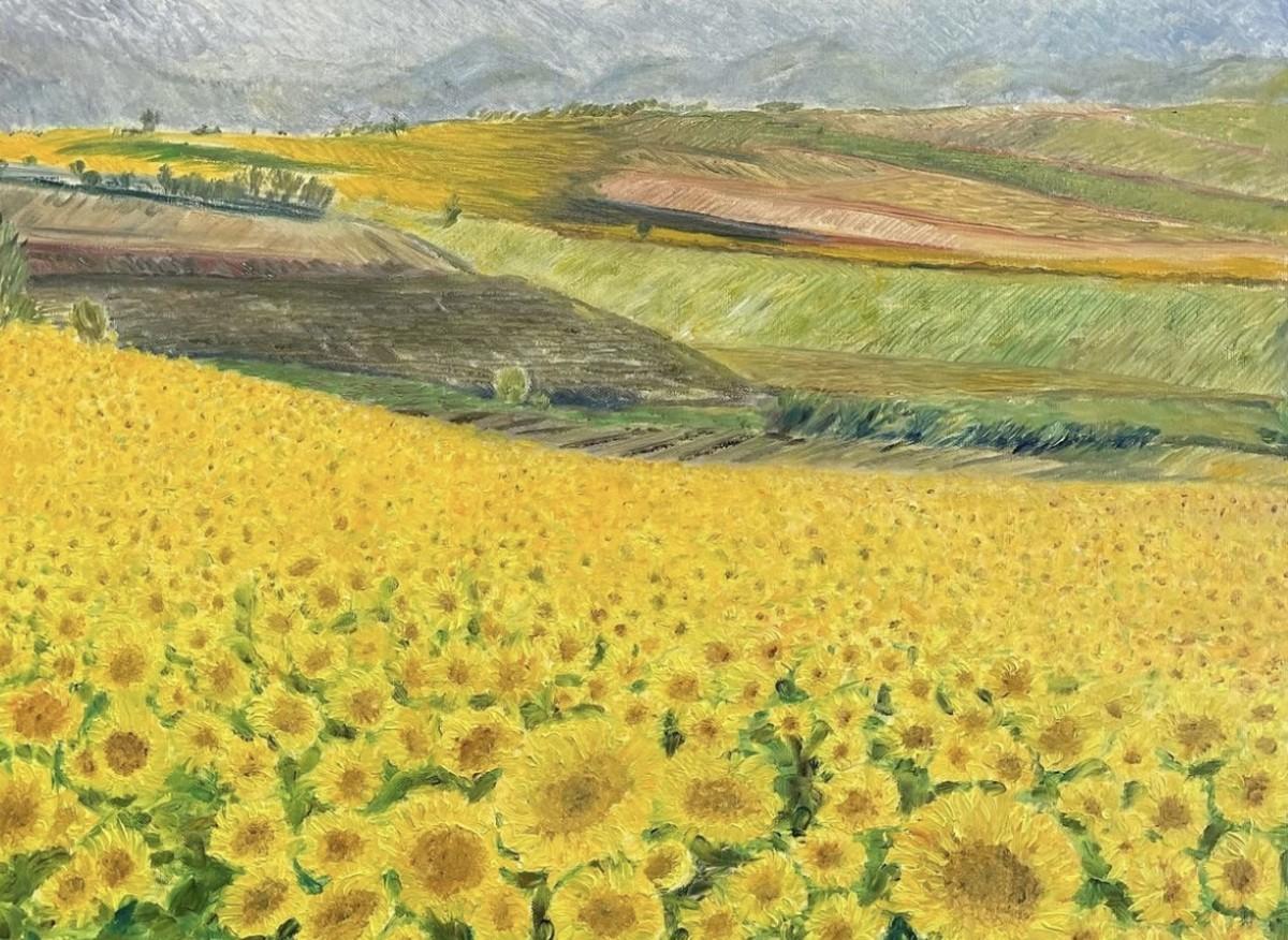Sunny Fields 1