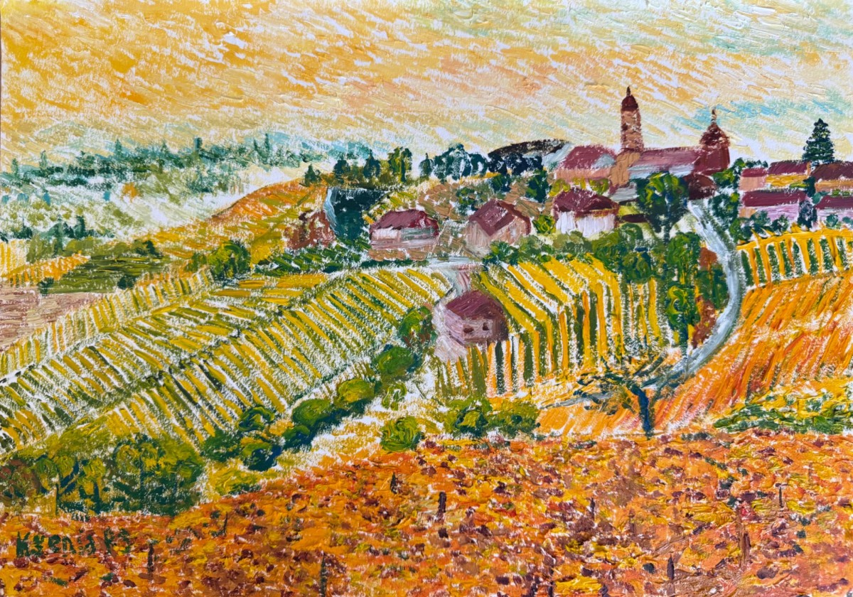 VINEYARDS 1