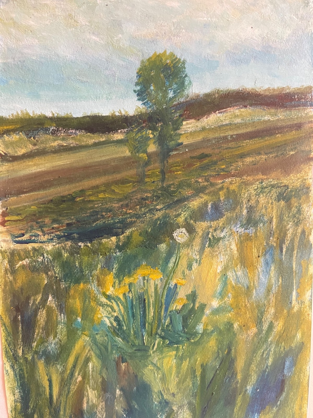 dandelion