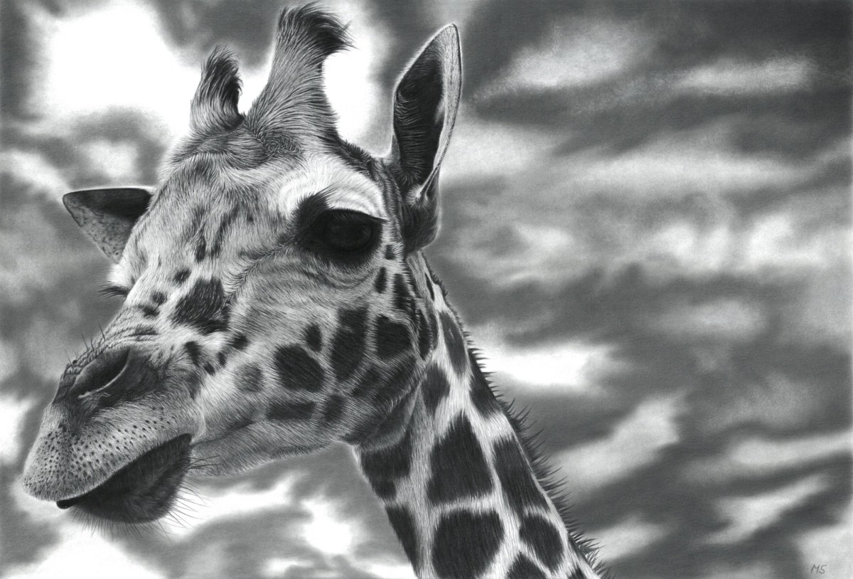 Lady Giraffe