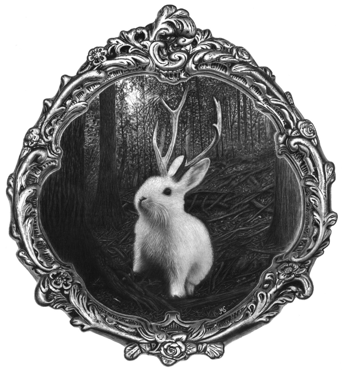 Jackalope in the woods