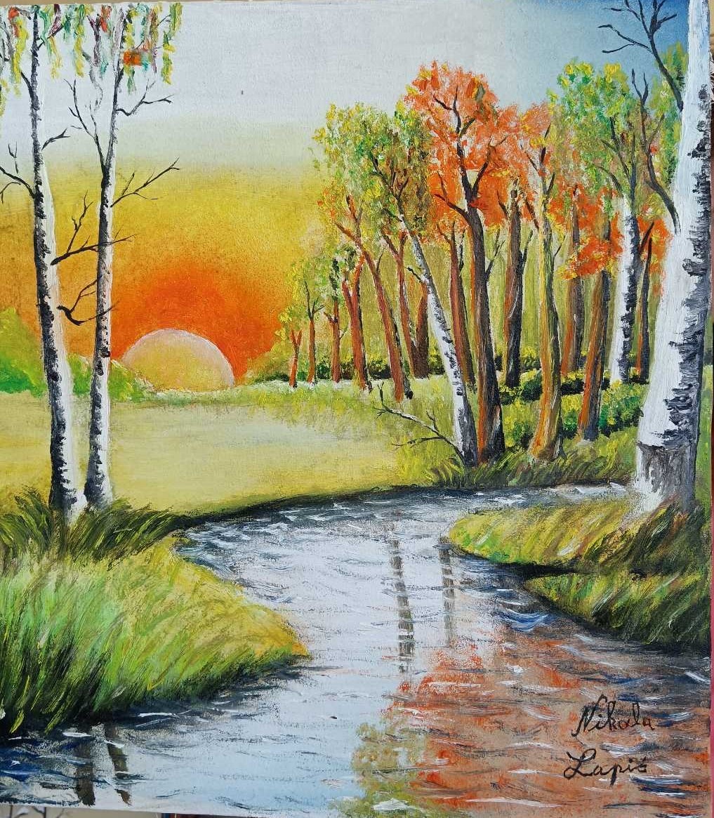 Forest stream