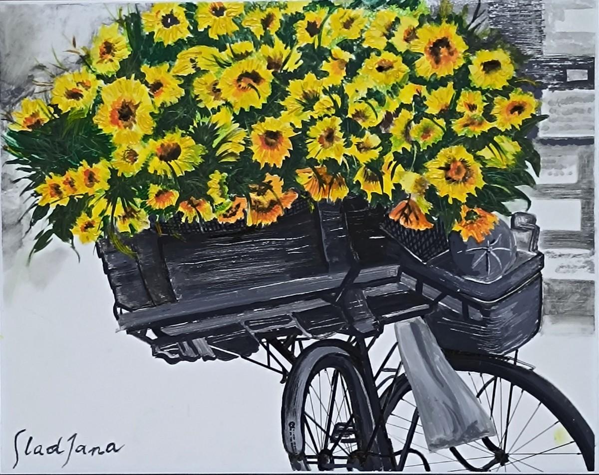 SANFLOWERS by bike