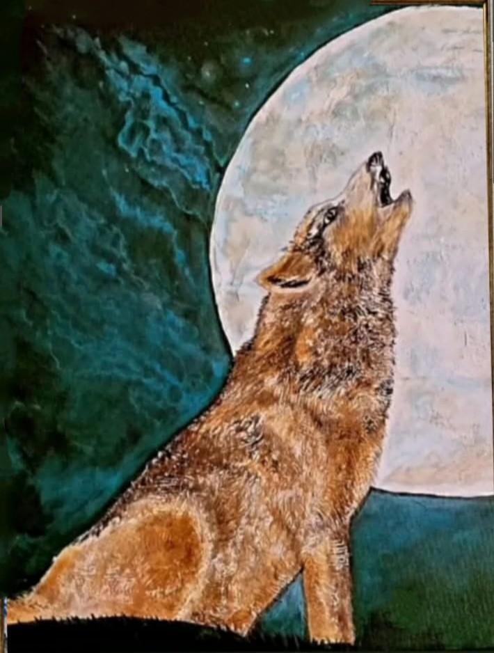 Volf