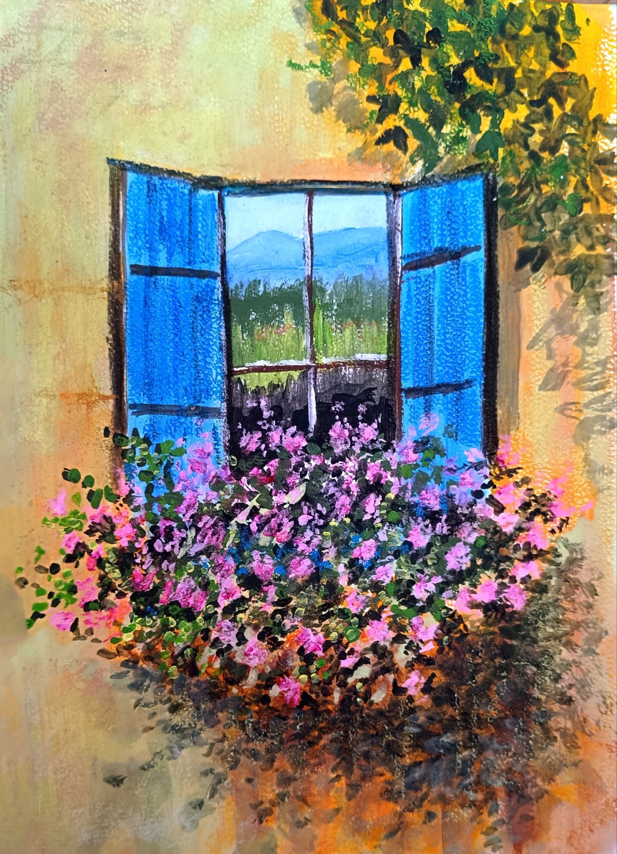 Window