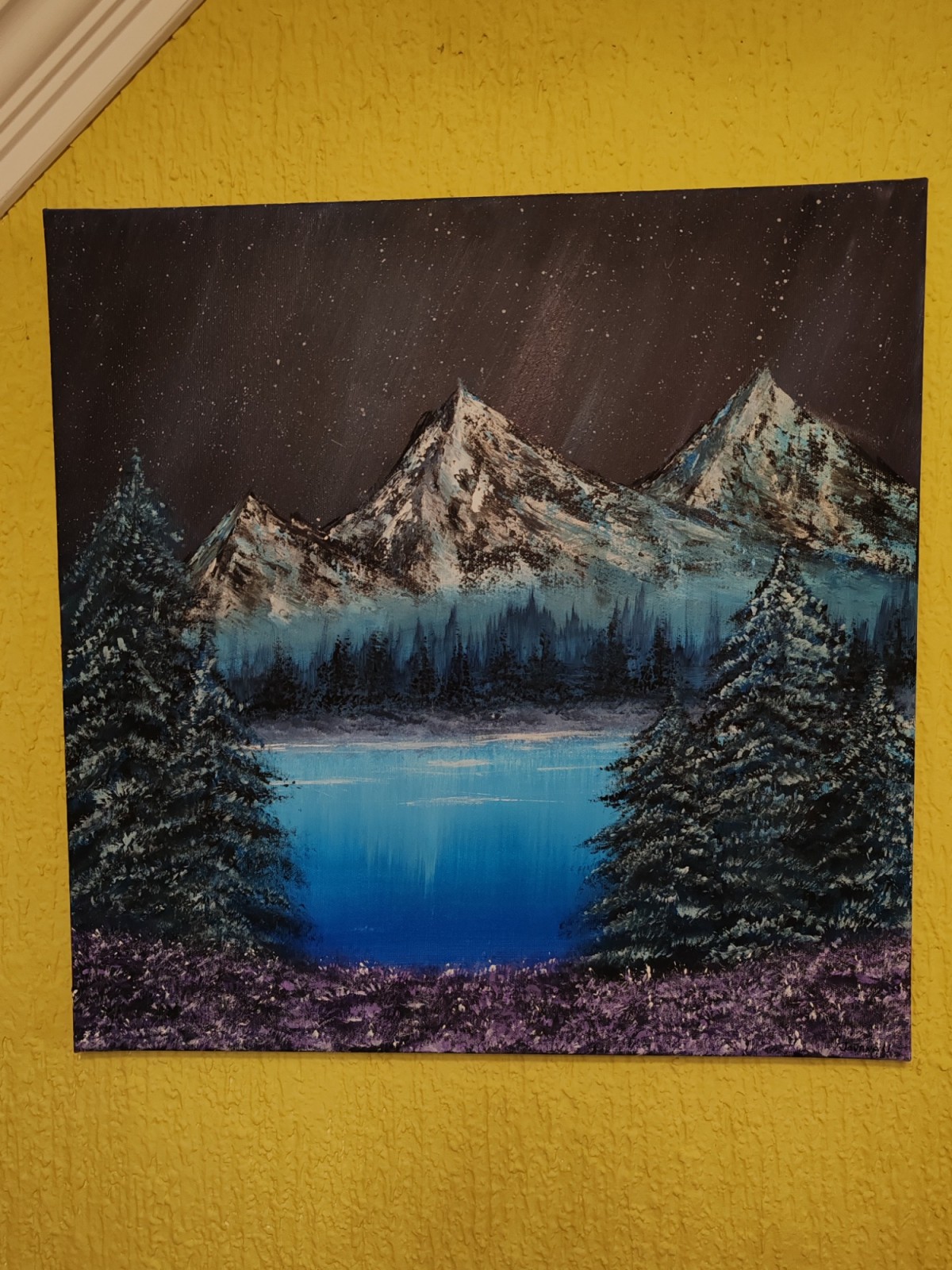 Mountain landscape on a winter night