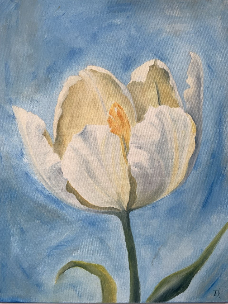 White tulip