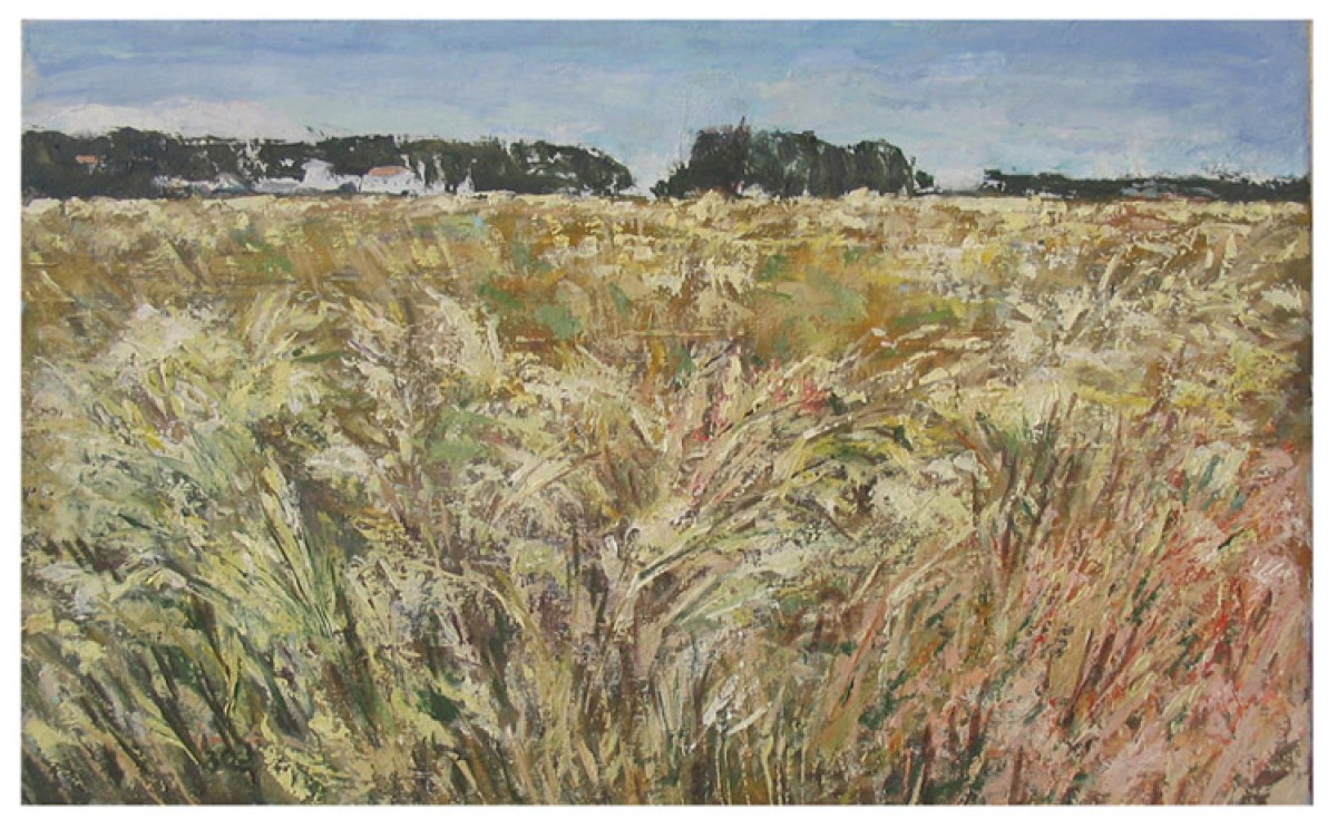 Corn field