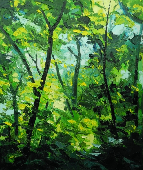 Forest And Light